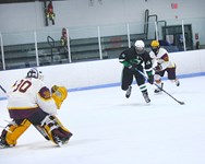 Western Mass. Boys Hockey Top 7: No movement this week as end of season approaches 