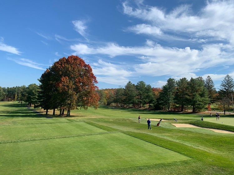 WMass golf teams all finish in bottom half at Div. I state championship