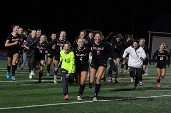 Wellesley defeats Bishop Feehan in Division I girls soccer state championship (photos) 