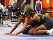 Central wrestling team finishes 8th at Division I West/Central sectional championship (photos)
