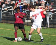 Javier DeNucce-Simms, Anaias Isaza Malloy lead No. 2 Easthampton boys soccer past No. 10 Pope Francis in Div. IV state quarterfinals (35 photos)