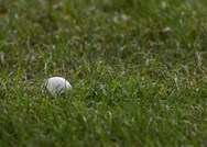 Deven Werbiskis posts low, Westfield Tech golf defeats McCann Tech